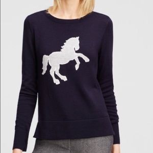 Ann Taylor Preppy Blue Equestrian Sweater